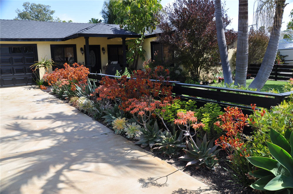 Succulent Haven Driveway