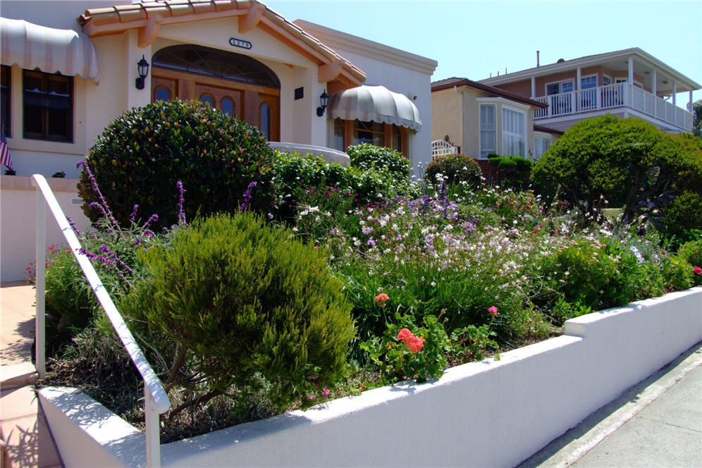 Dense Plantings Behind Short Wall