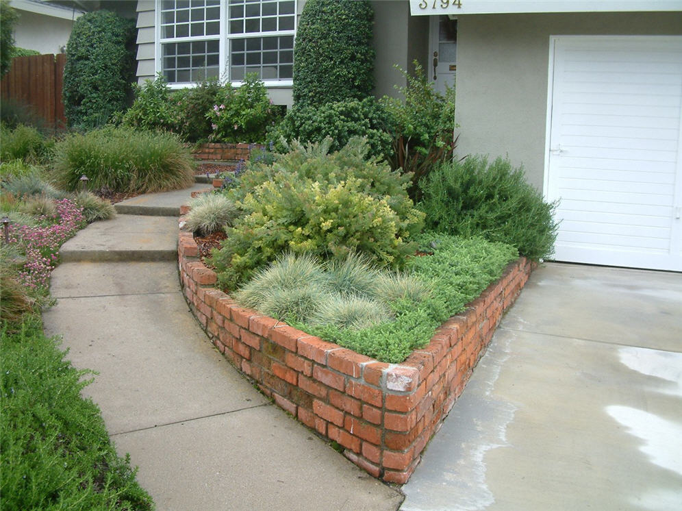 Vibrant Brick Corner