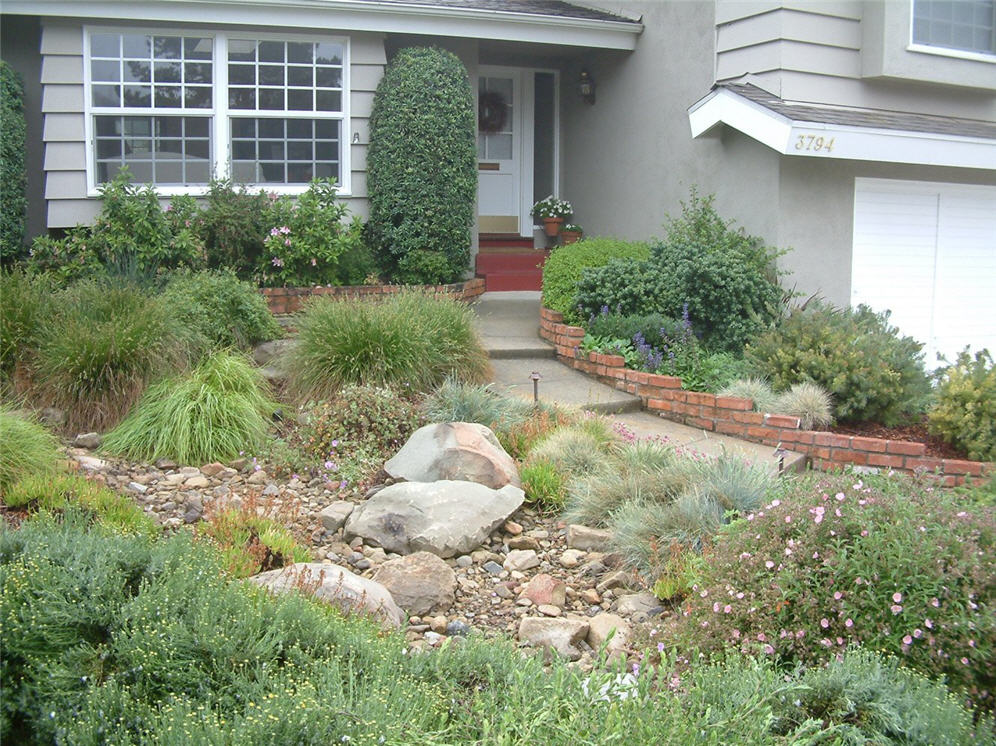 Beautiful Perennial Border