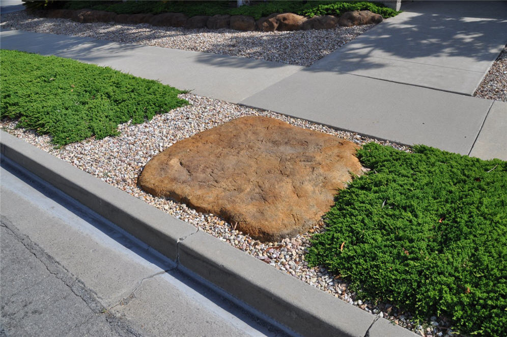 Sunken Boulder in Strip for Step