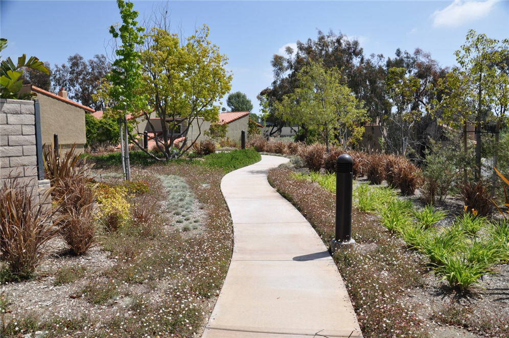 Santa Barbara Daisy Walkway