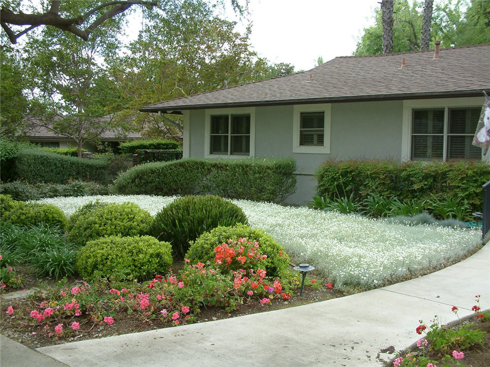 Snow and Summer Lawn