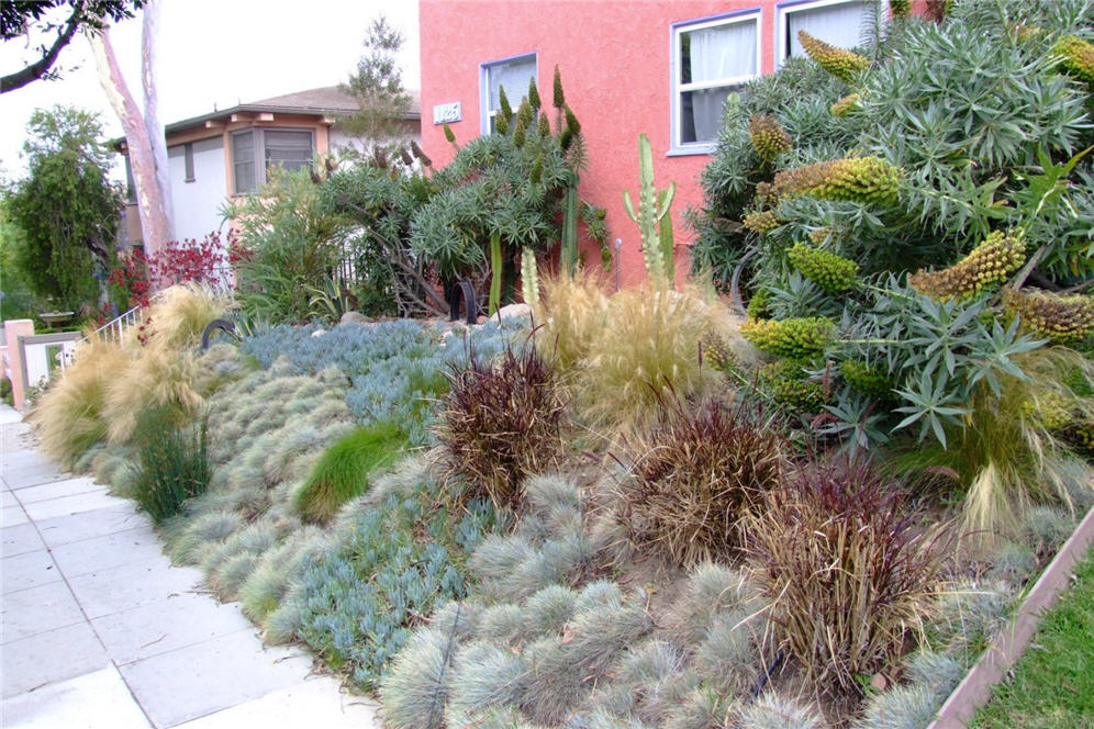 Southwest Garden with Pink Wall