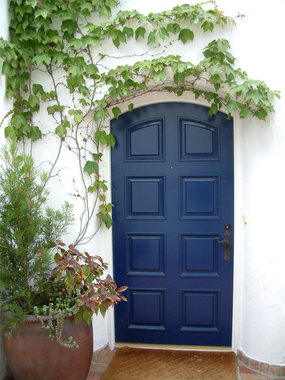 Blue Door Framed by Vine