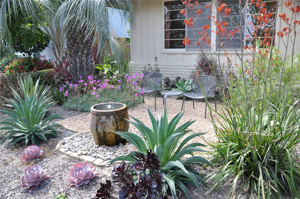 Agave Seating Area