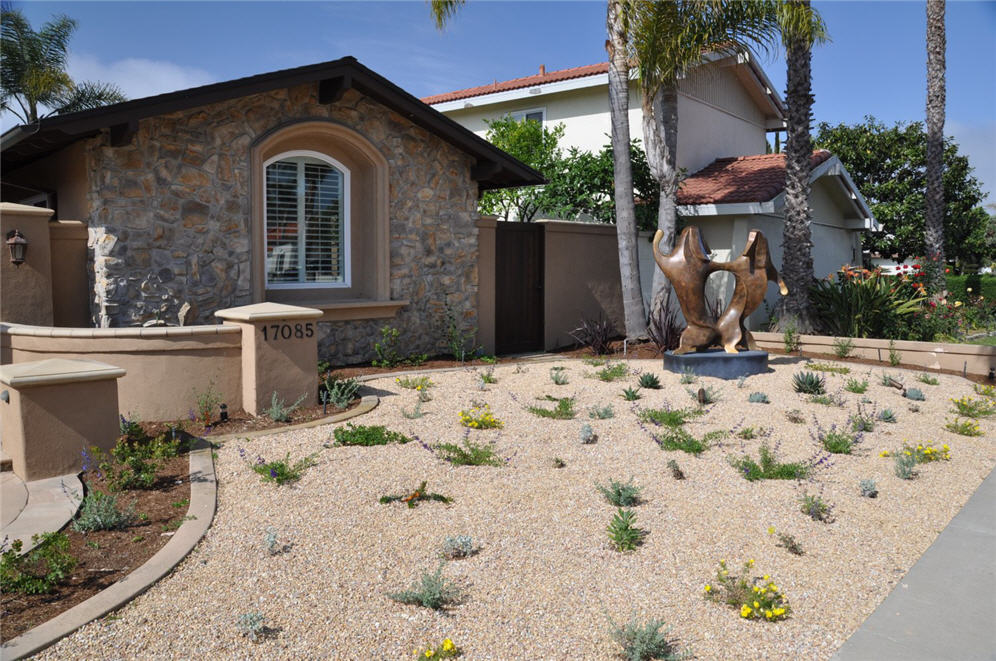 Dry Garden in Infancy