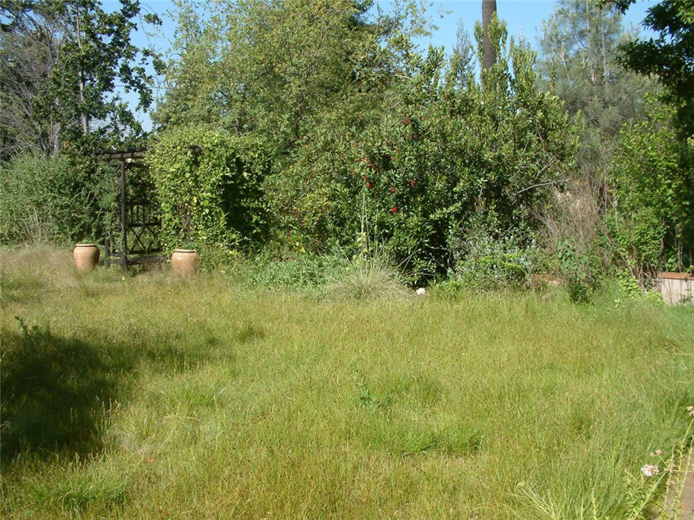 Masses of Grasses