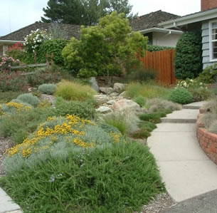 Creekbed Garden