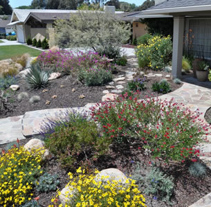 Flagstone Walks Garden