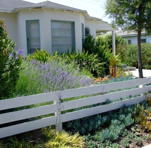 White Fence Garden